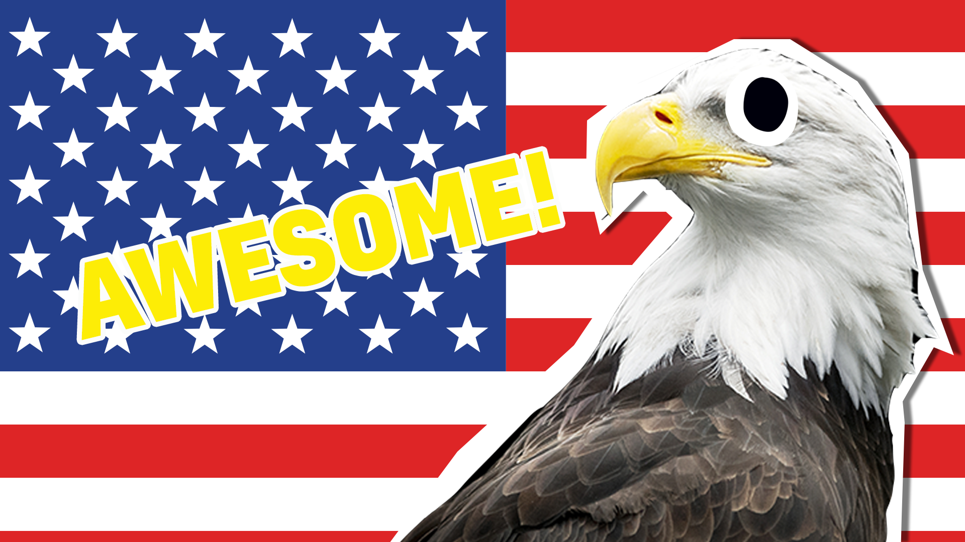 Yee haw! You got 100%! That means you're a bona fide American historian, congratulations! This eagle is seriously impressed. 