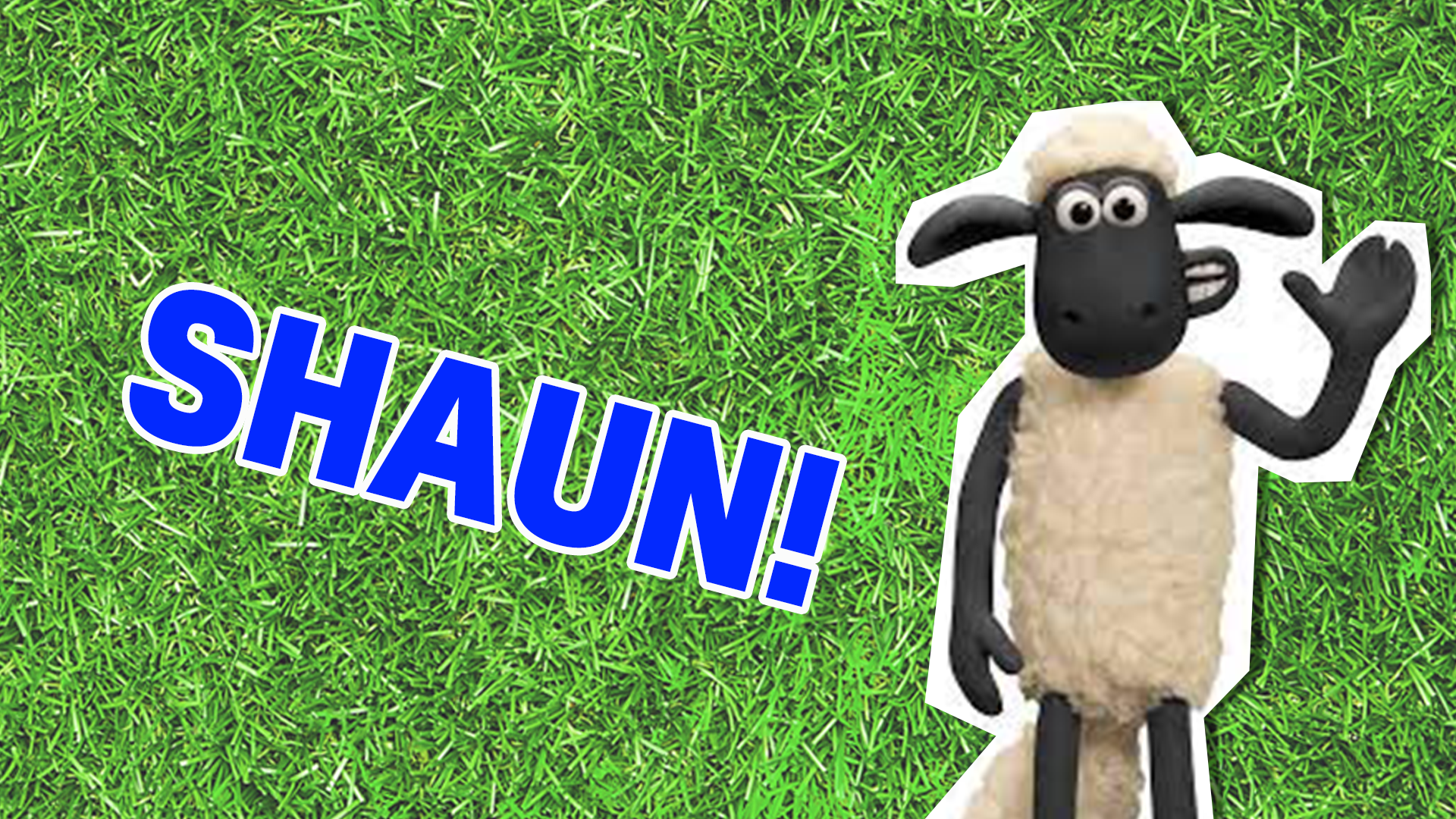 Shaun the Sheep Result