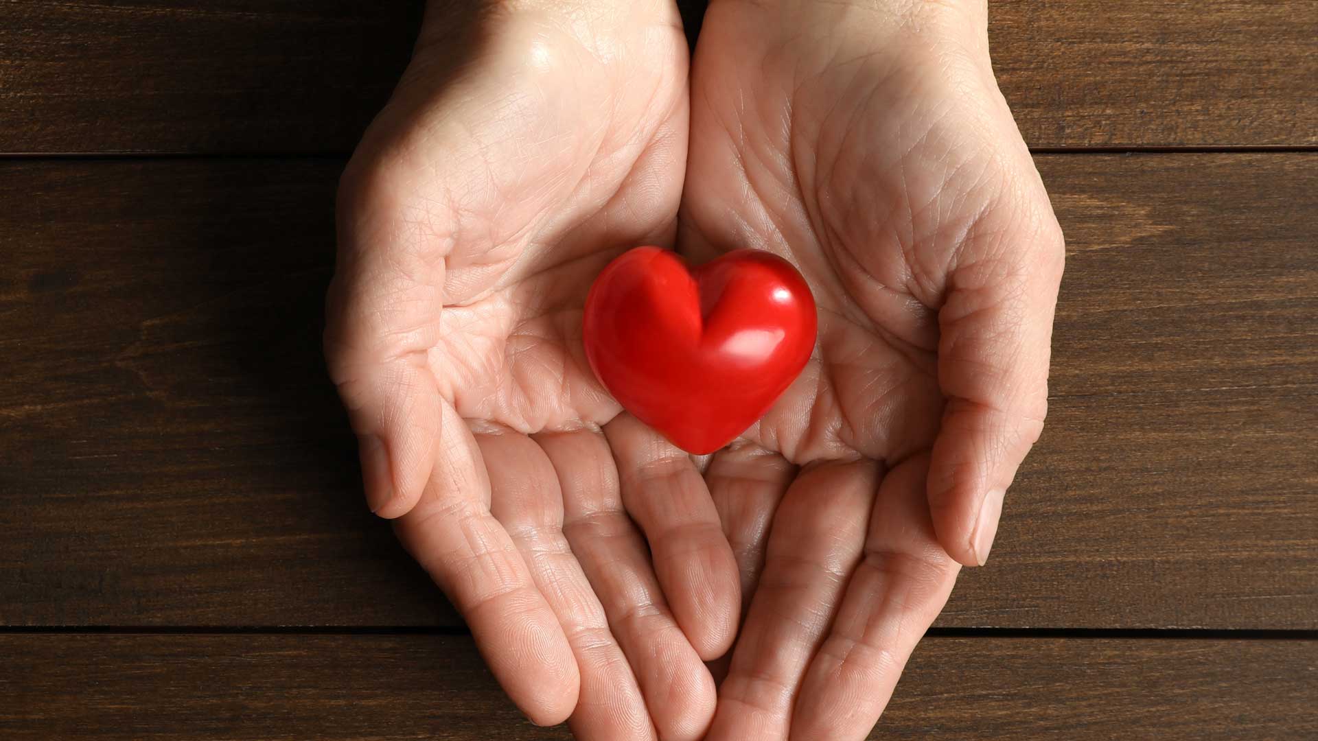 A pair of hands holding a red heart shape