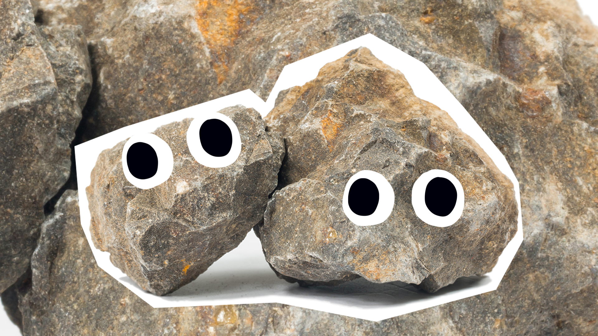 Two goofy rocks with eyes