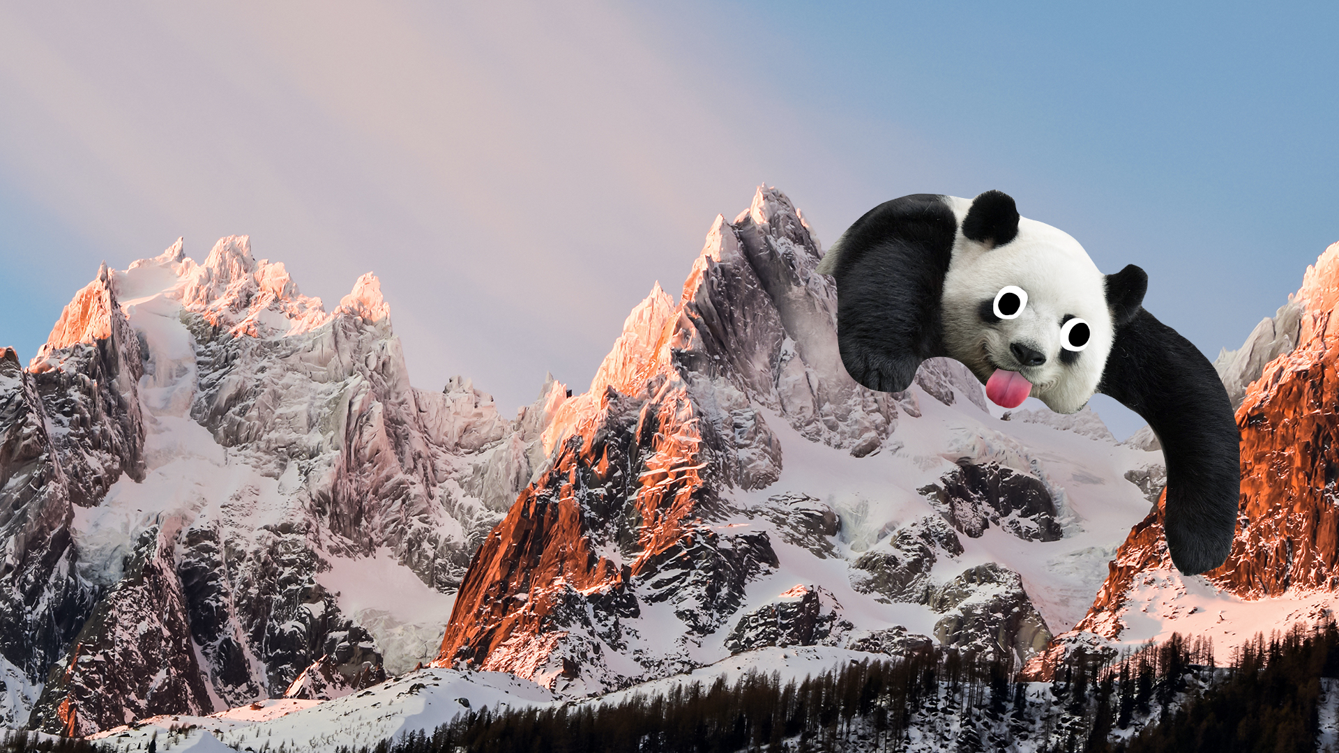 Derpy panda on a mountain top