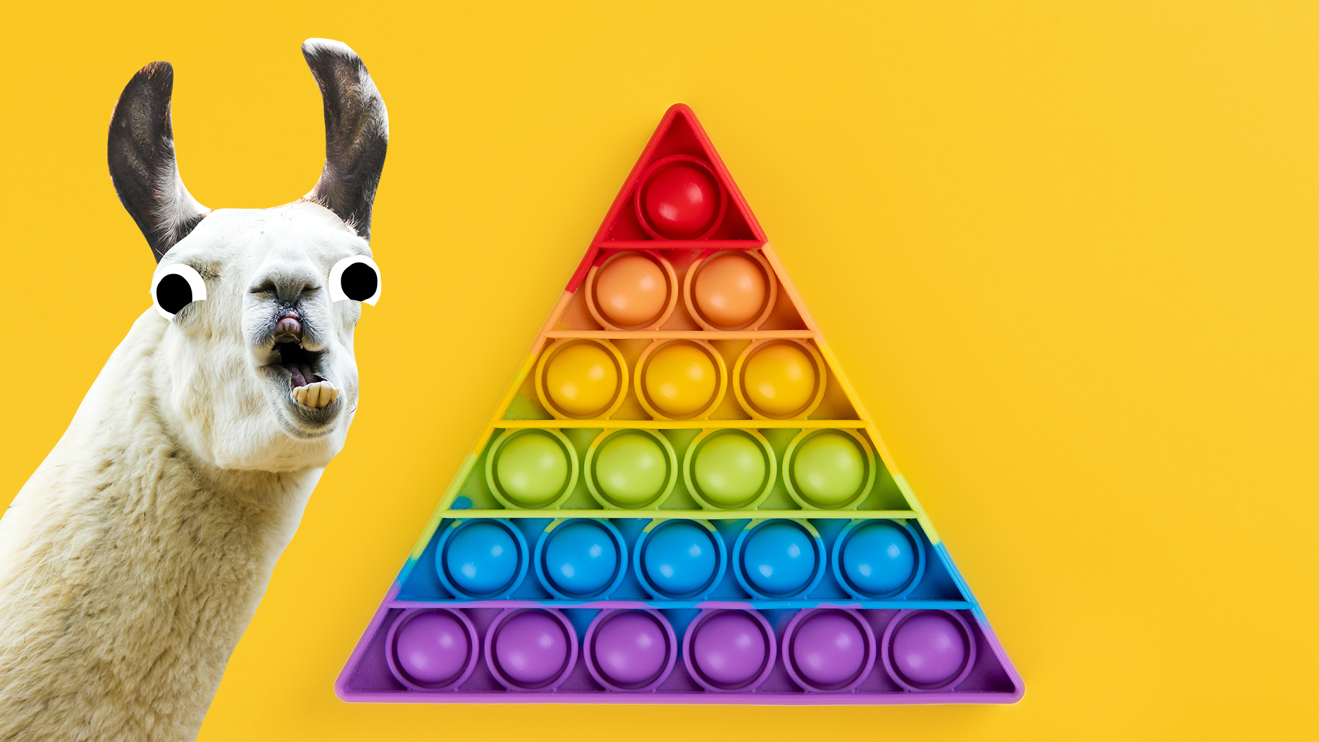 A triangle and a derpy llama