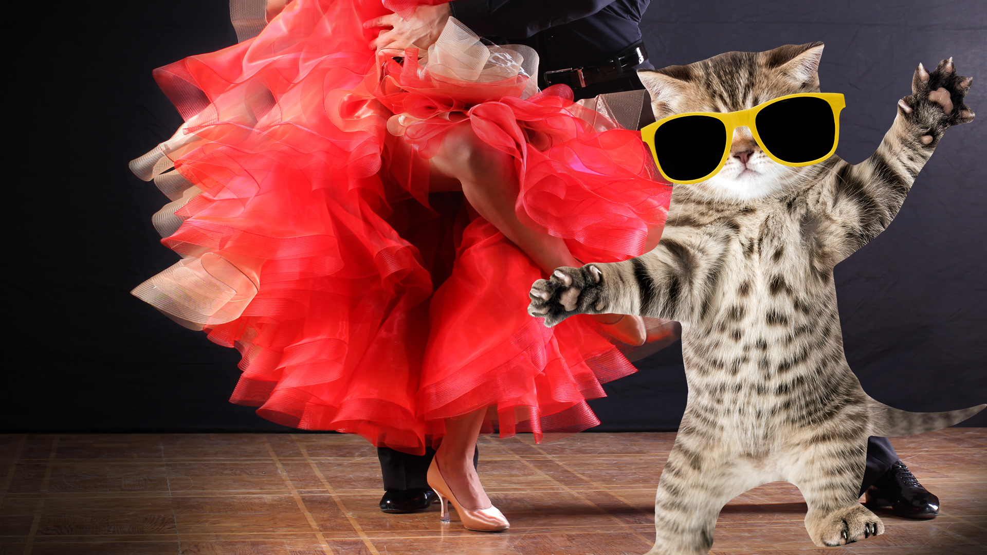 Two dancers and a dancing Beano cat