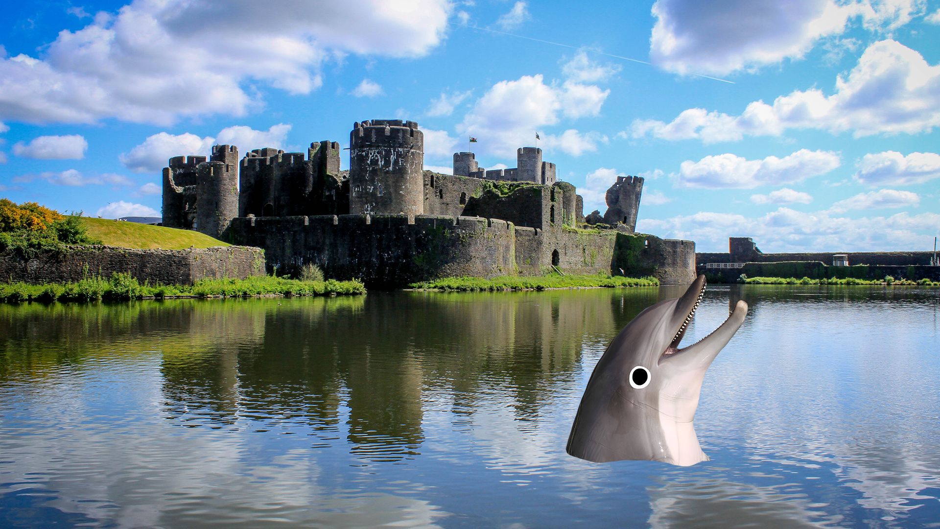 A Welsh castle and a Beano dolphin popping out of the moat