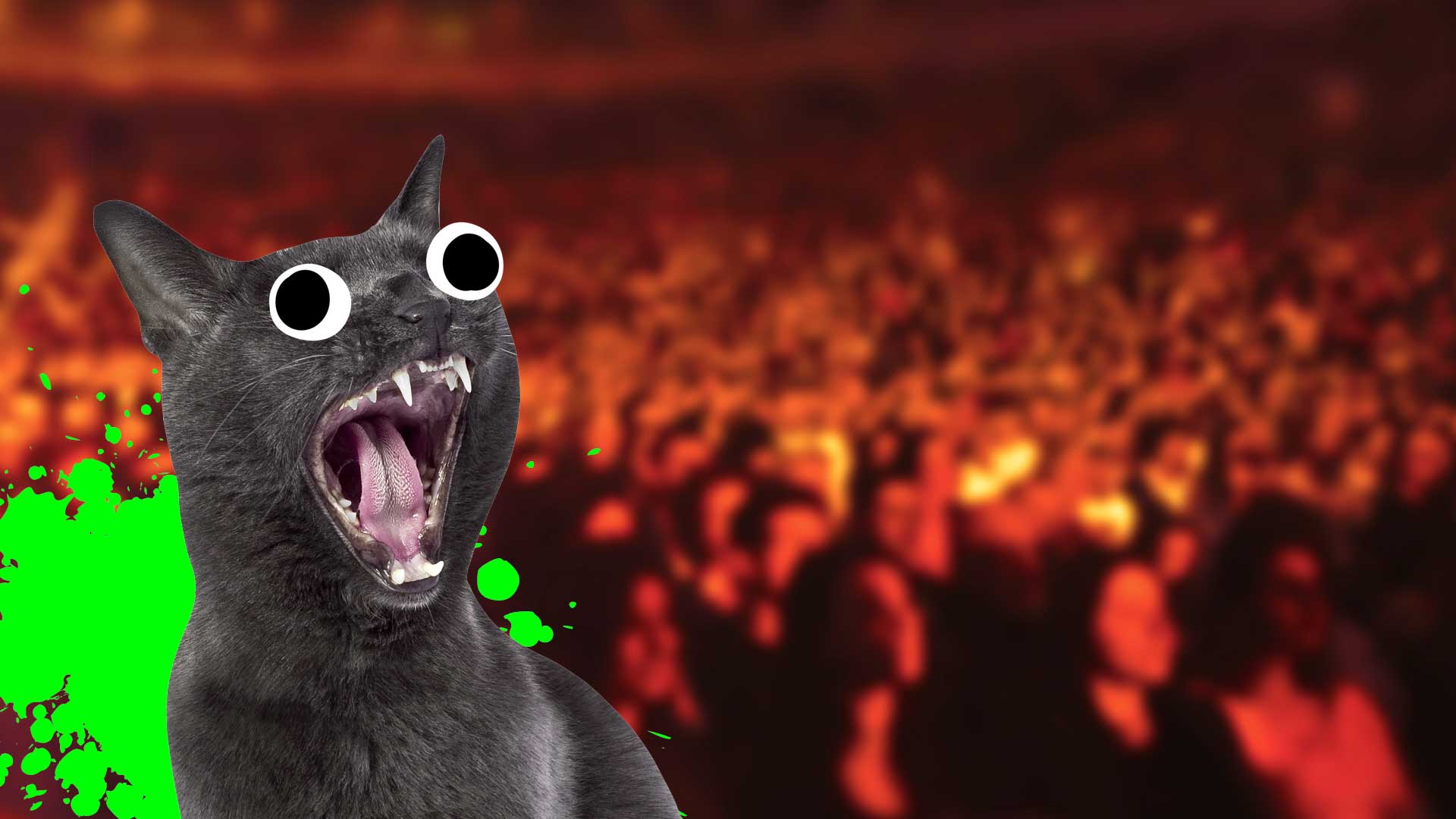 A shouting cat and a blurred theatre audience 