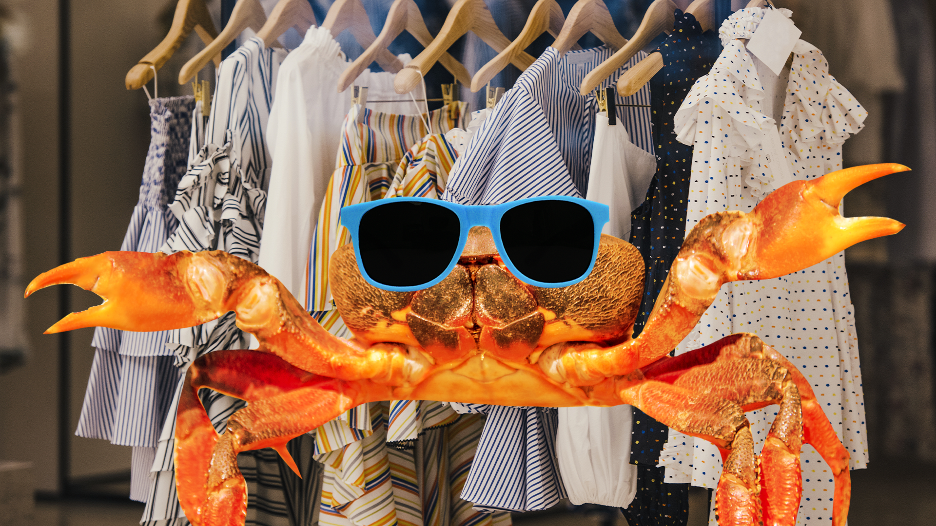 Cool crab with fashion clothes