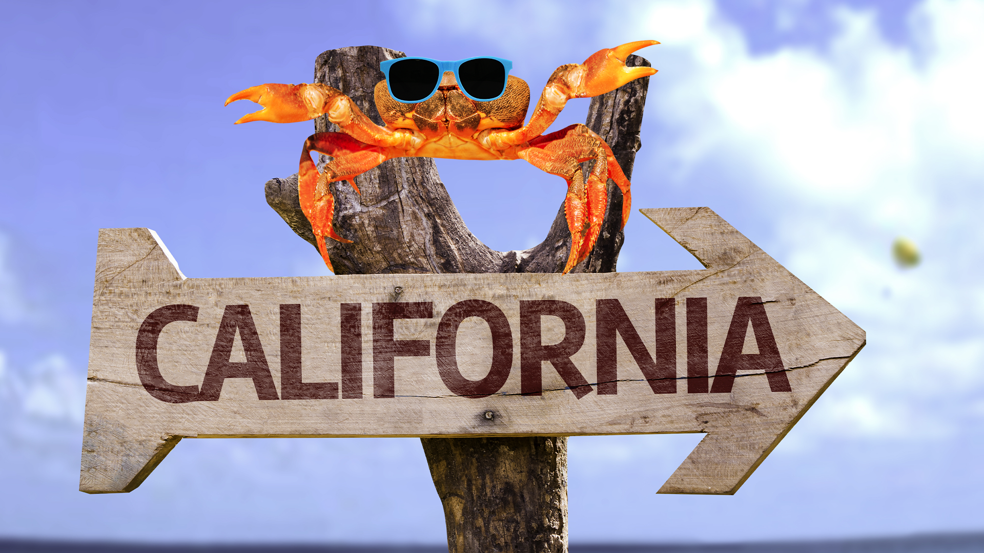 A cool crab and a California sign