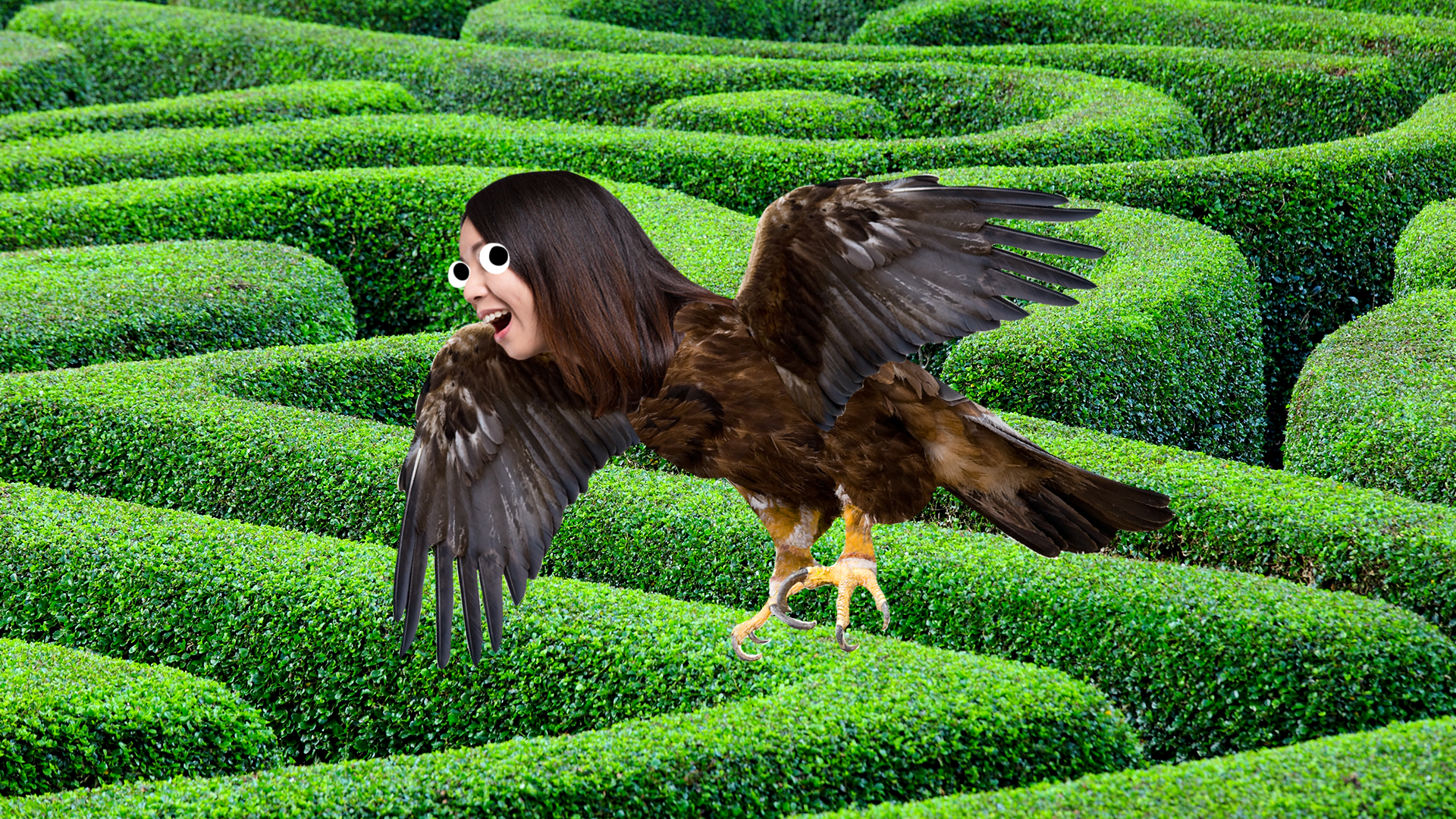 A harpy in a maze