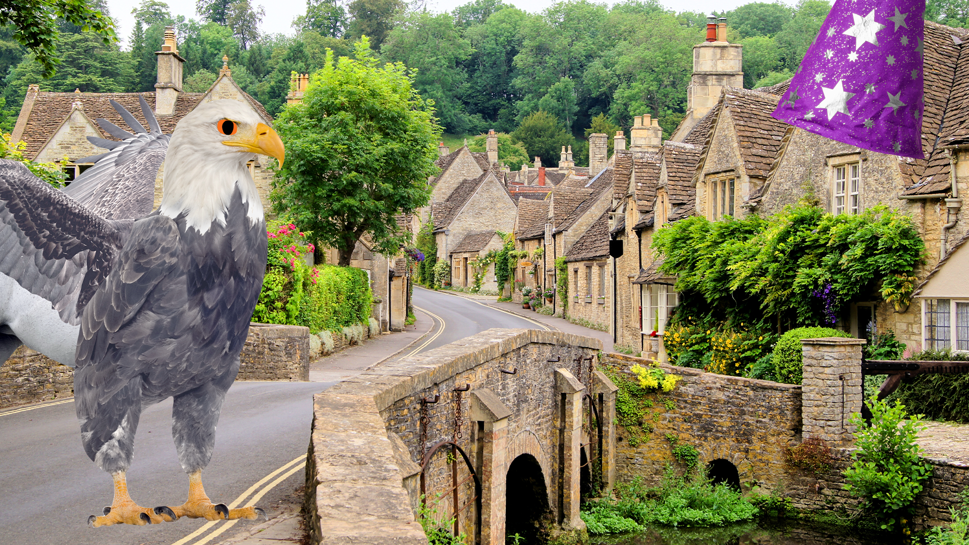 A village with a wizards hat and a hippogriff