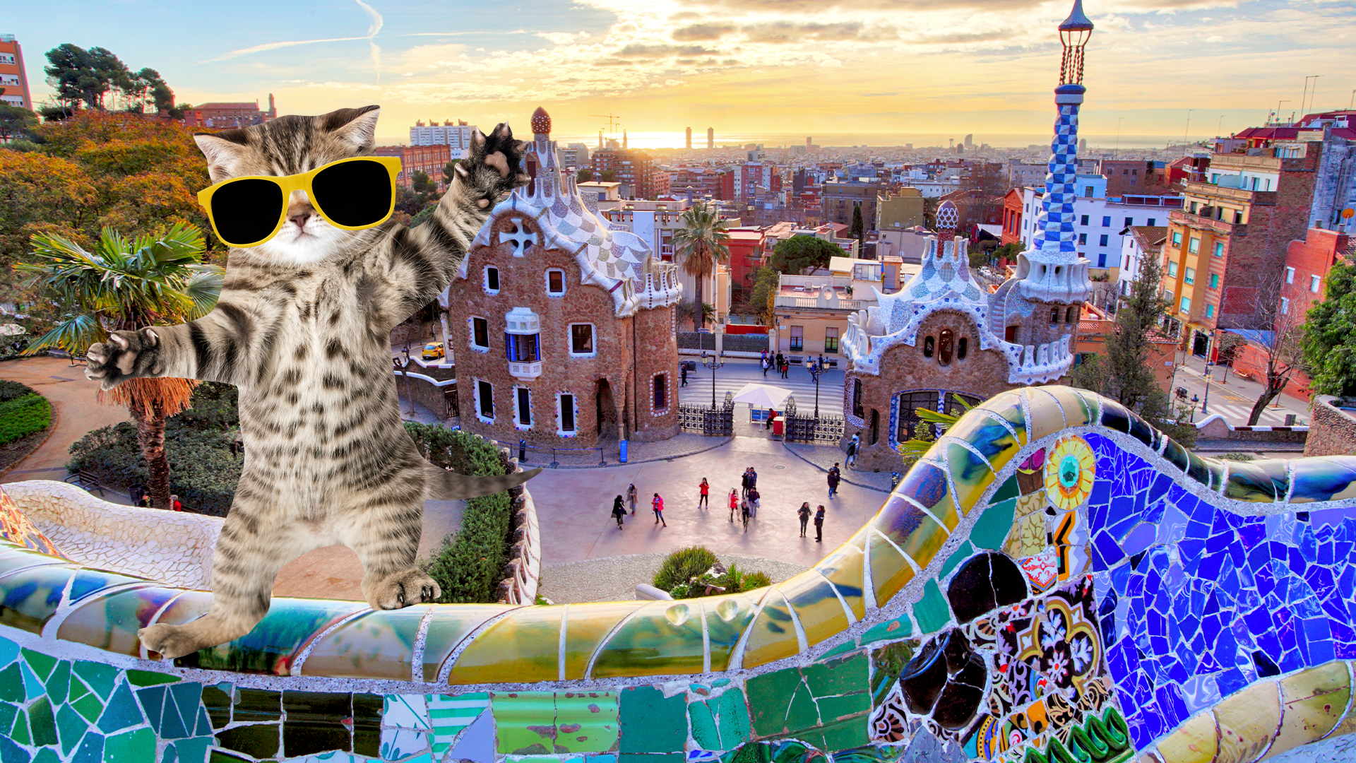 Barcelona with dancing cat