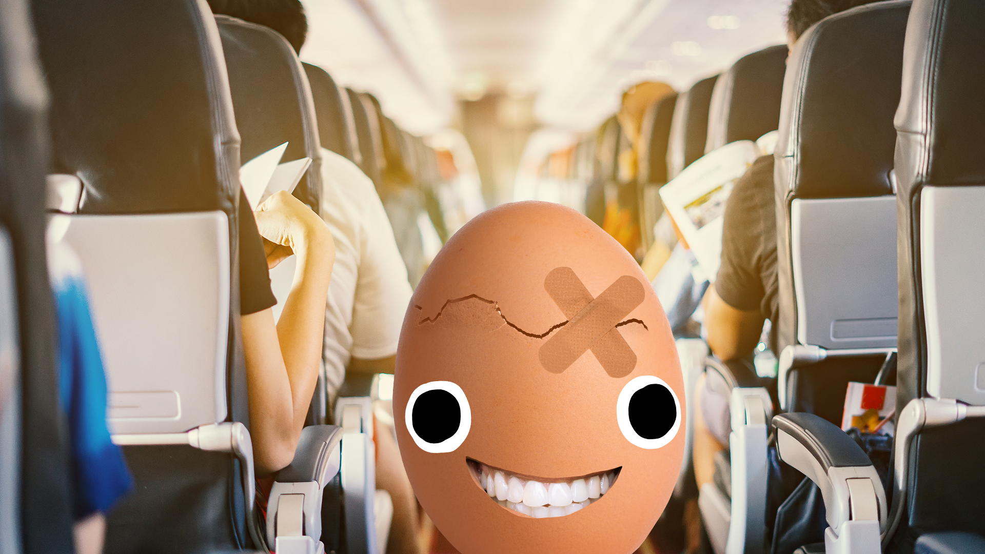 An egg on a plane