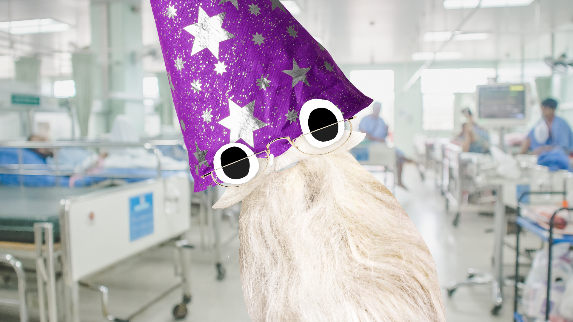Beano Dumbledore in a hospital 