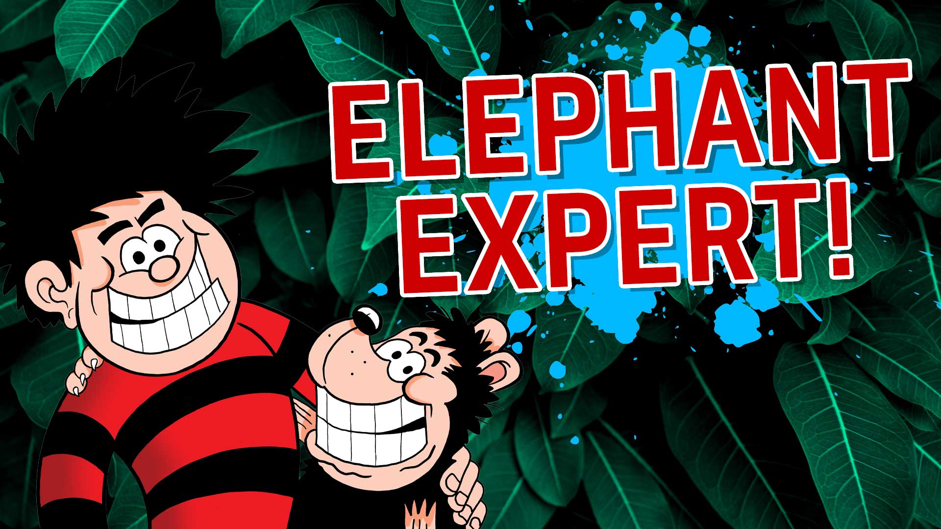 Result: Elephant Expert