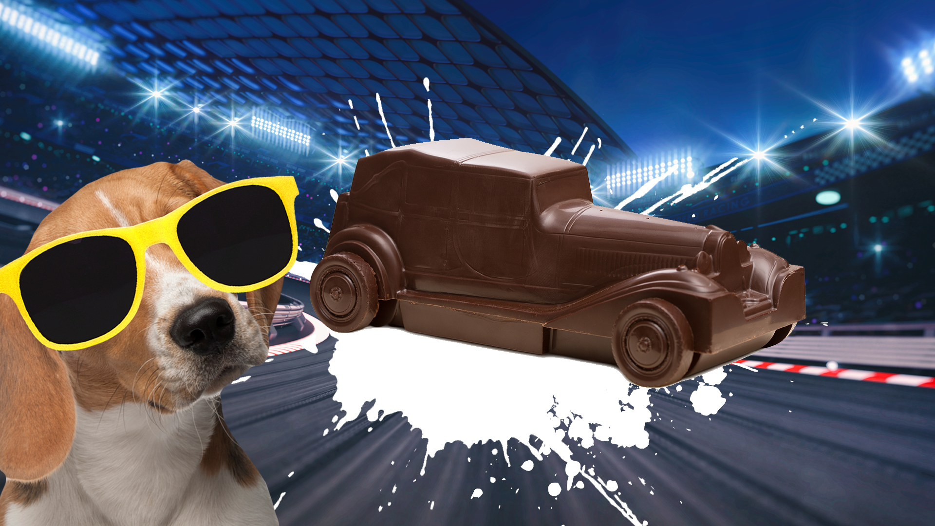 A dog and a chocolate car