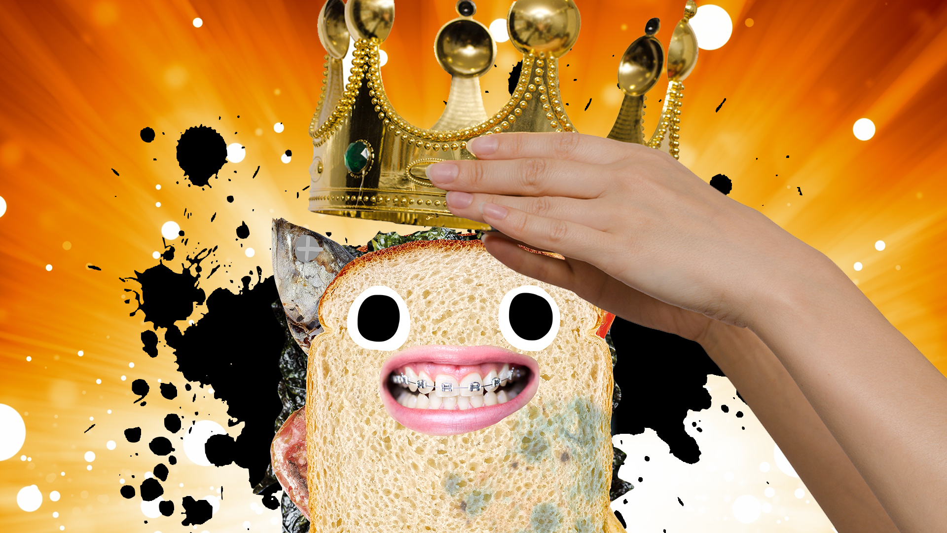 A mouldy sandwich is given a shiny hat