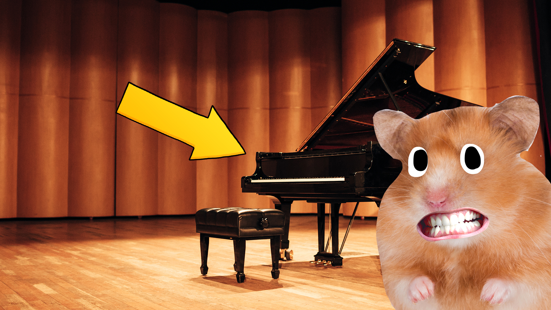 A hamster and a piano