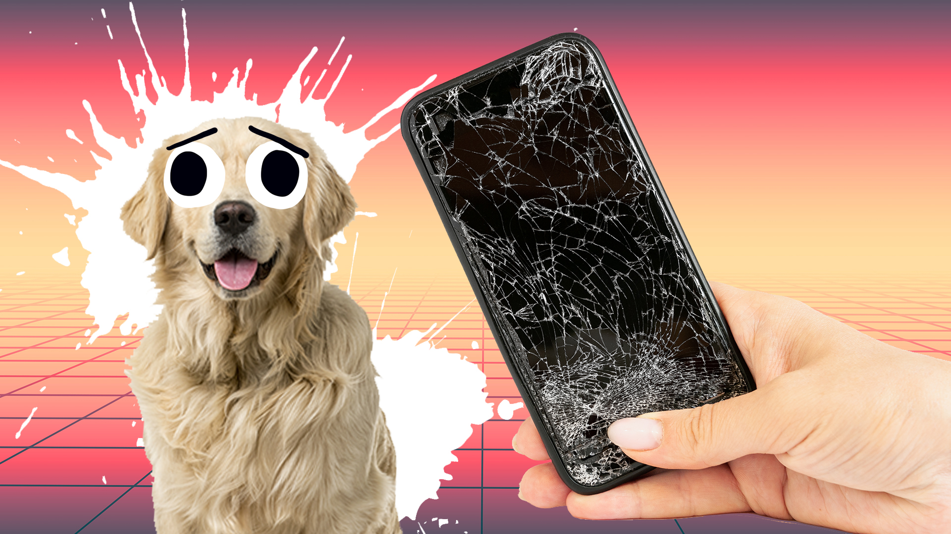 A dog looks sadly at a broken smartphone
