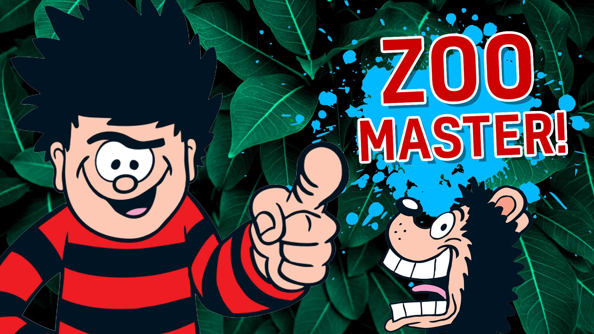 Result: Zoo Master