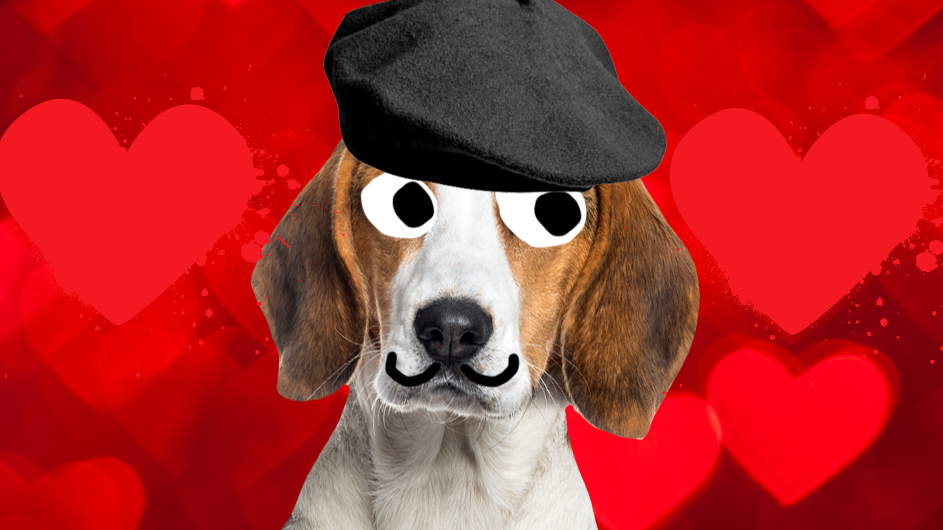 A French dog on a hearts background