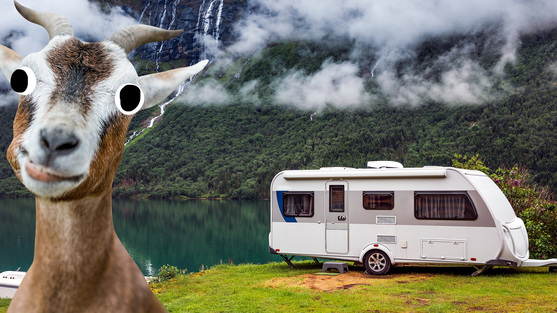 Derpy goat in front of caravan 