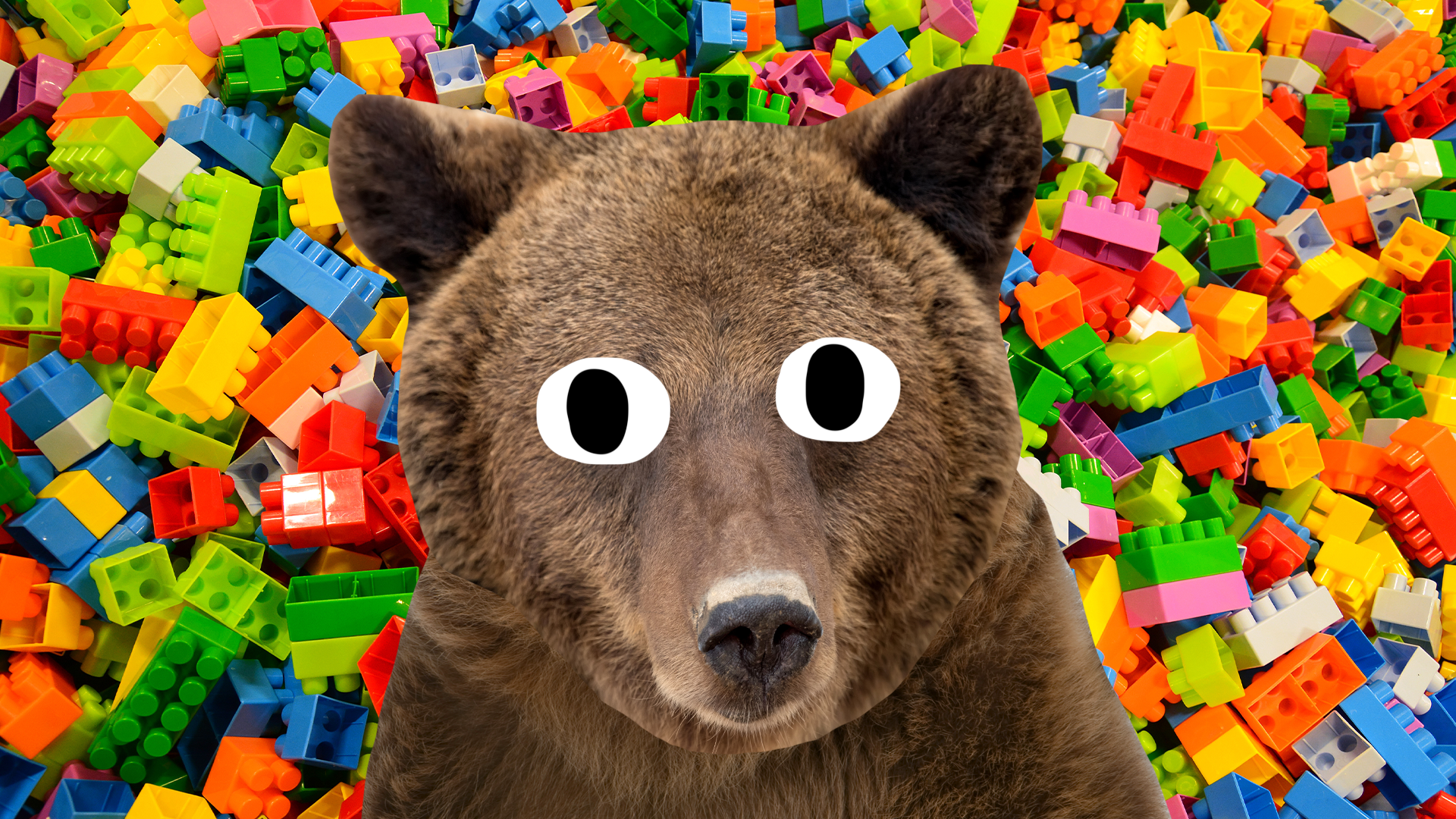 Beano bear on toy brick background