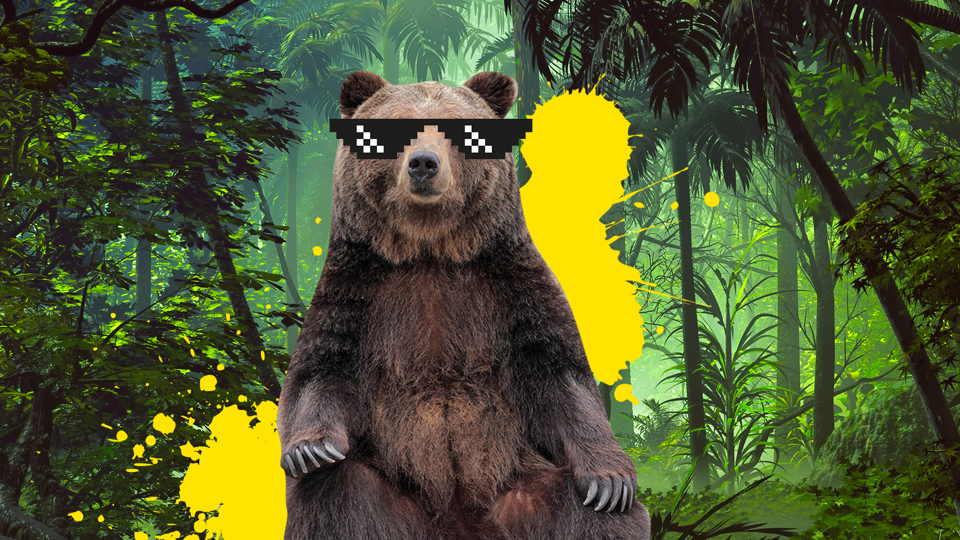 A bear looking cool with sunglasses