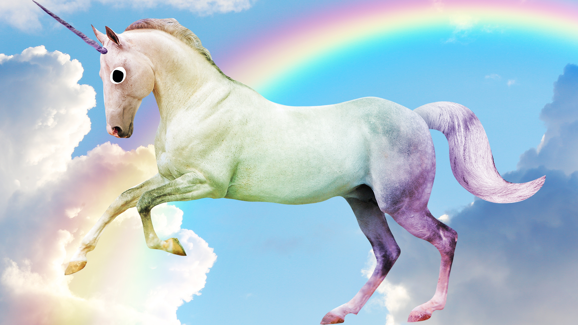 Rainbow unicorn on rainbow sky background