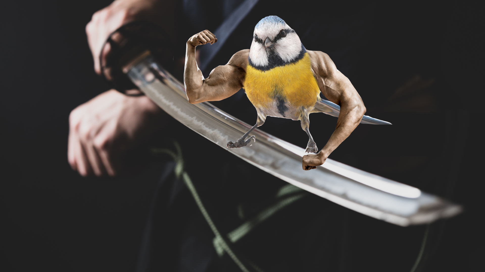 A sword with a hench bluetit on it
