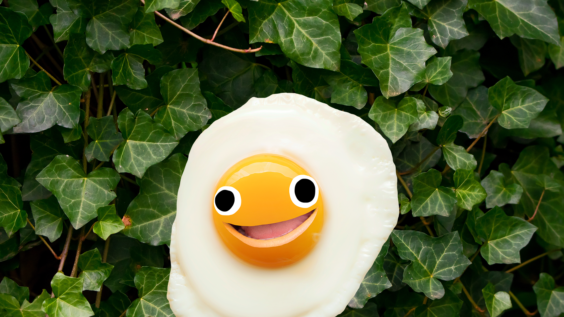 Goofy egg on ivy background