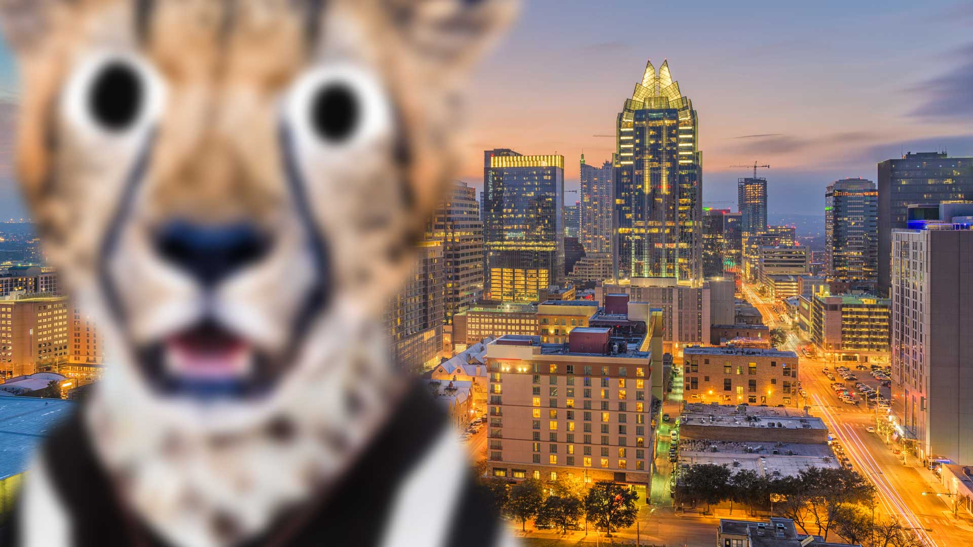 Downtown Austin with a big cat in the foreground