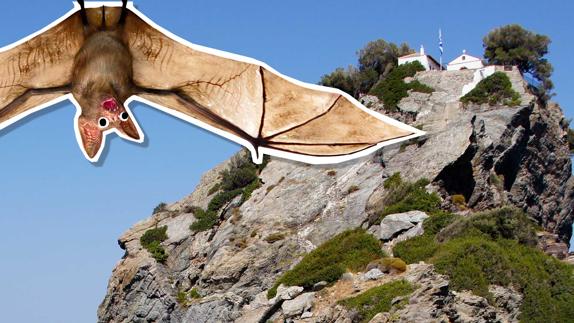 A bat and the Agios Ioannis Kastri in Skopelos, Greece