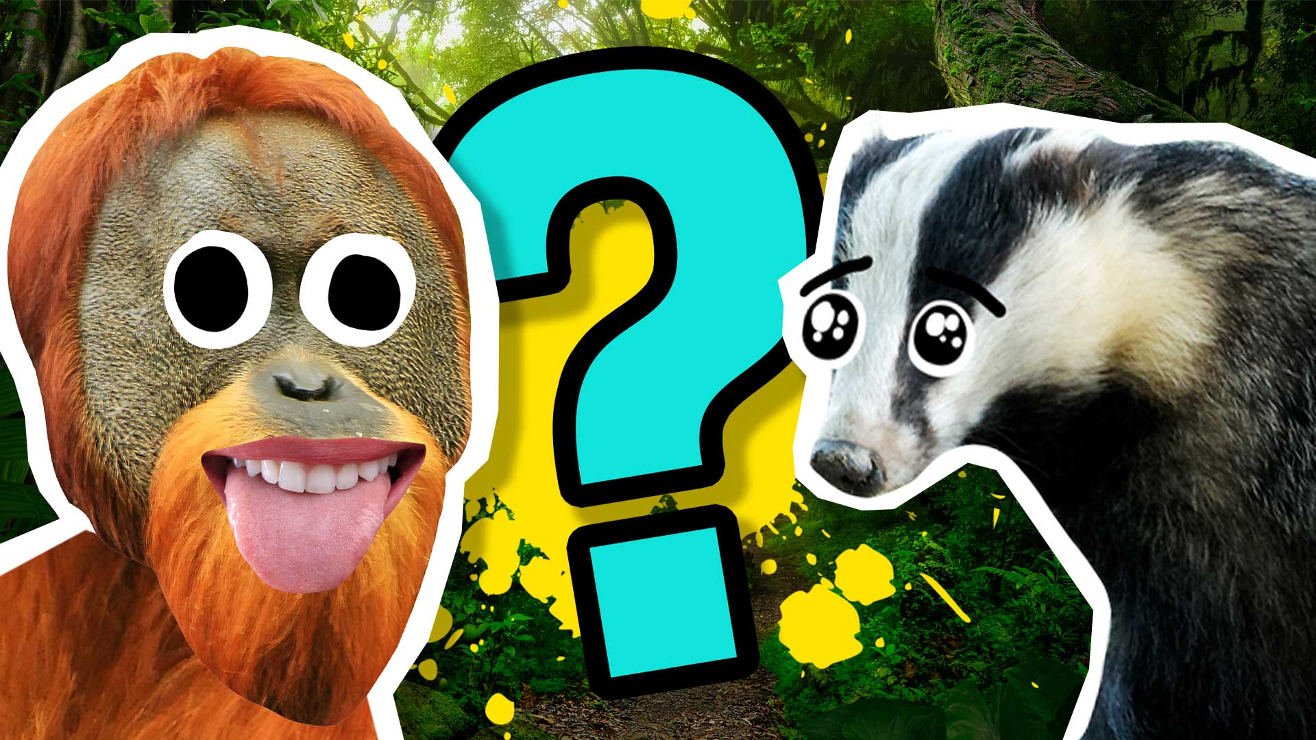 What Is Your Inner Animal Quiz?
