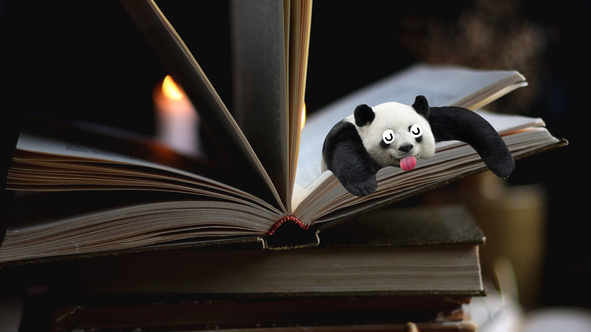 Derpy panda peeping out of old book