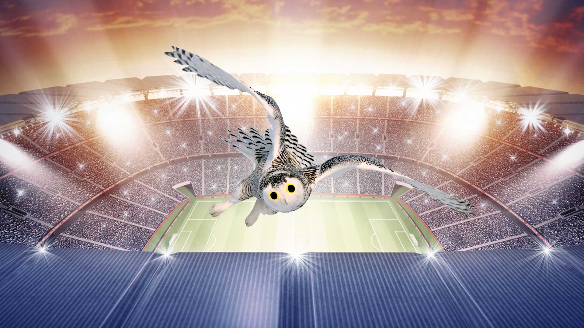 An owl swooping over a football ground at night