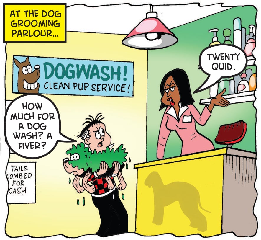 Roger takes Gnasher to the dog salon