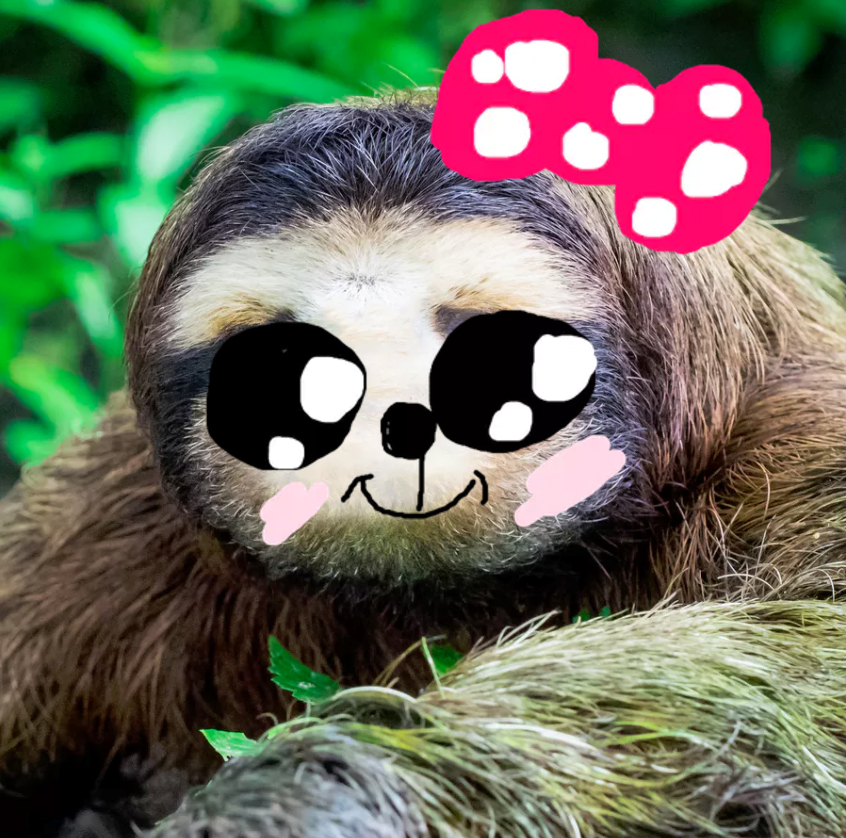A REALLY cute sloth with a bow