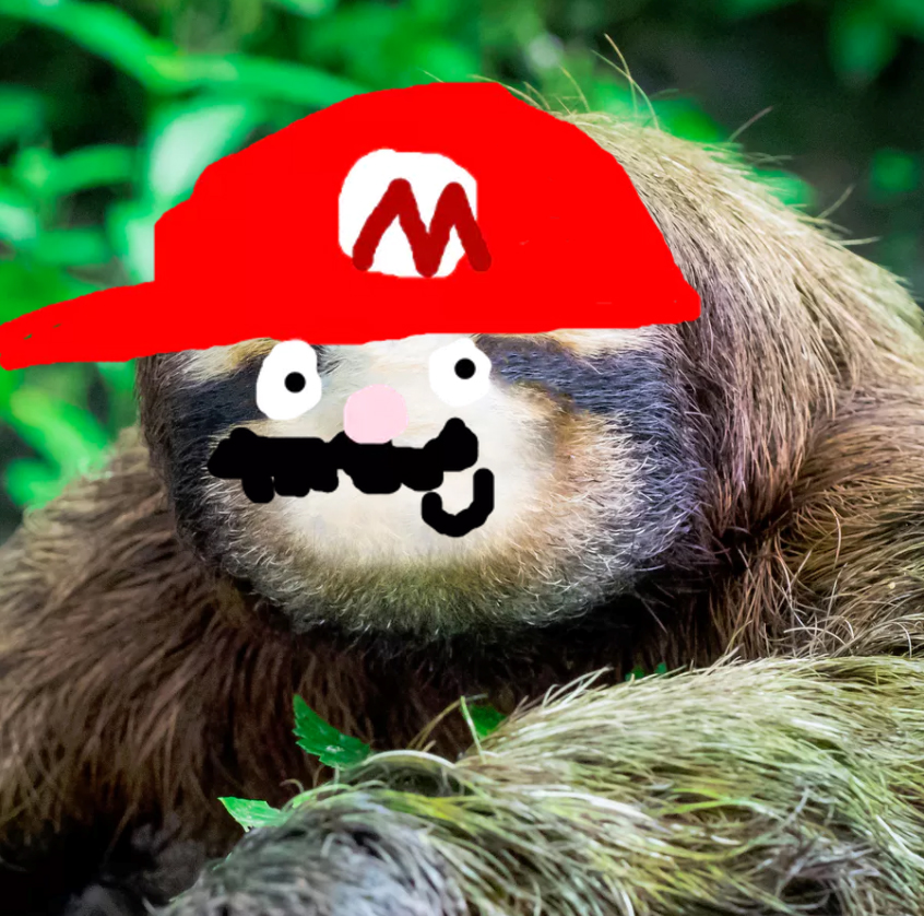 Super Mario Sloth