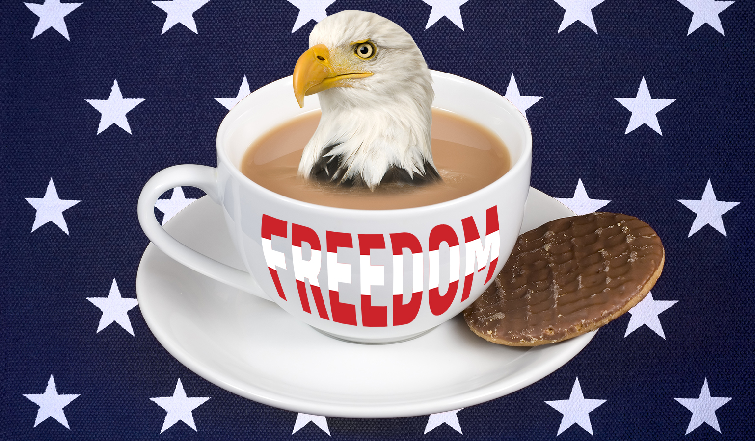 An America Eagle sitting in a cup of tea, with a chocolate biscuit on the saucer