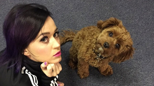Katy Perry and Butters