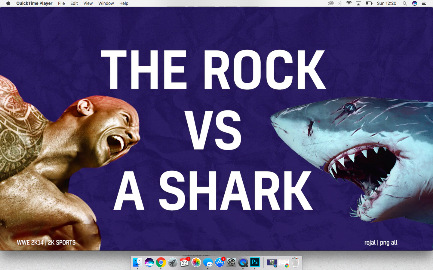 The Rock vs A Shark