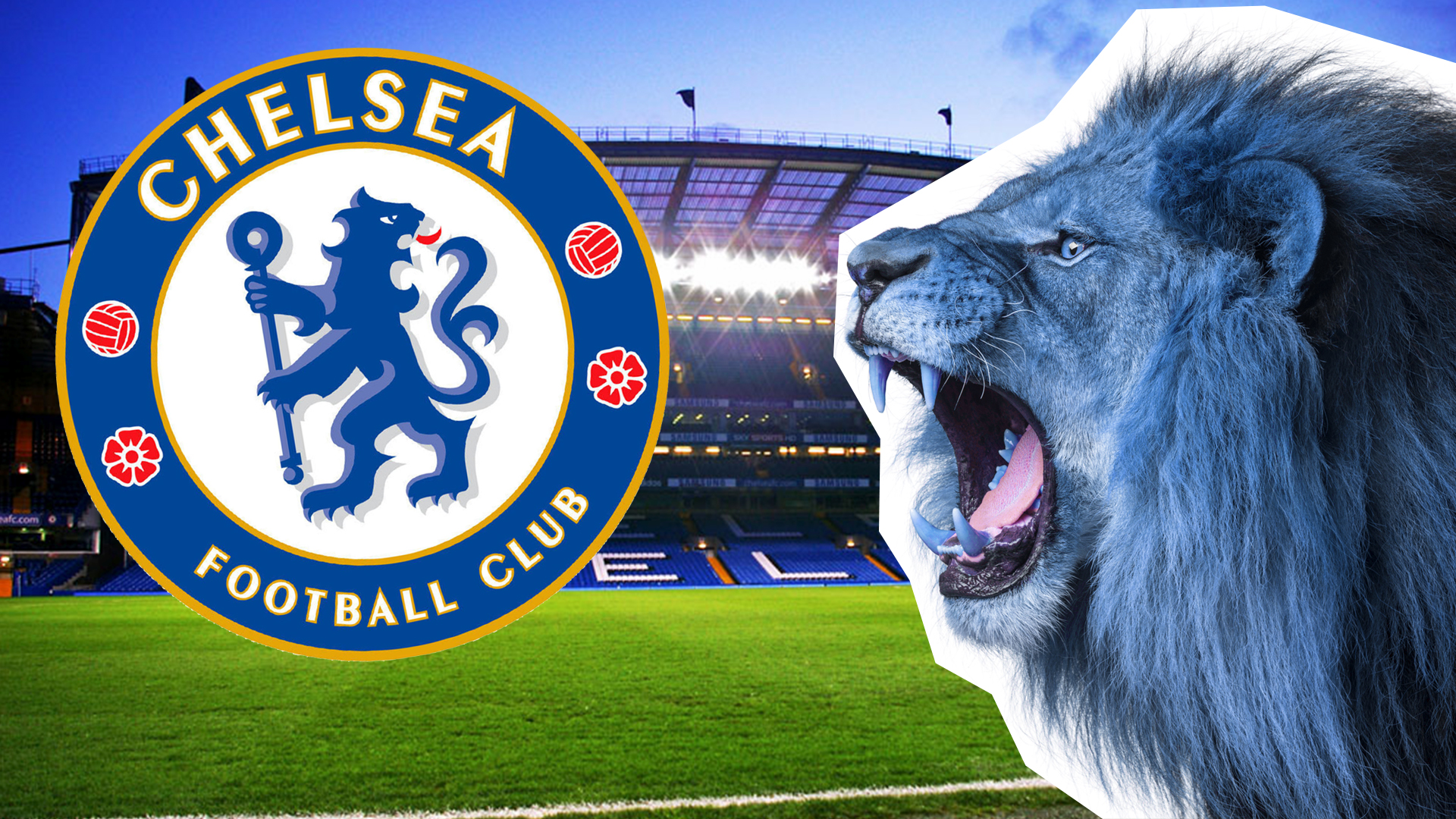 Behold, the Blue Lions of Chelsea