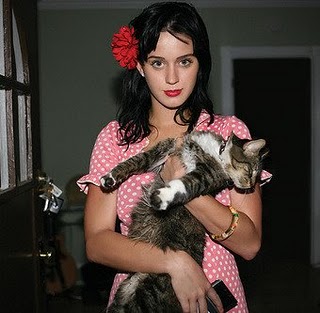Katy Perry with her cute cat