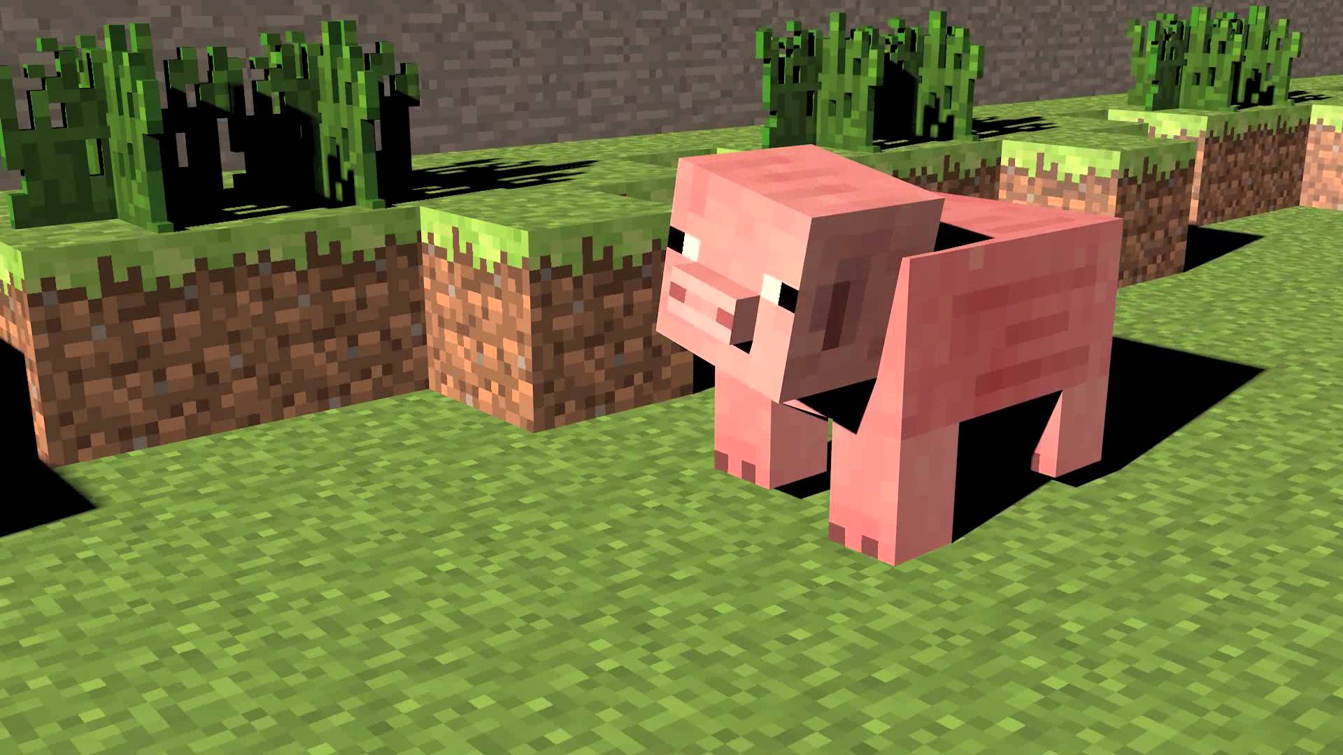 Minecraft pigs