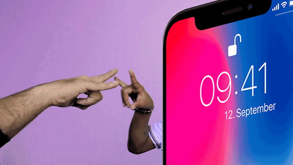 The iPhone X but better