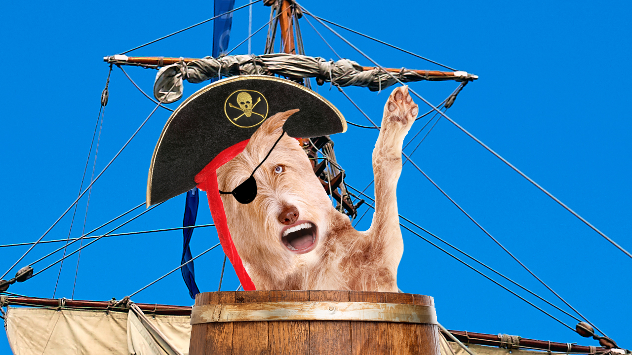 pirate dog waving ahoy