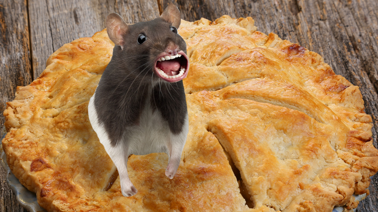 a Pie Rat