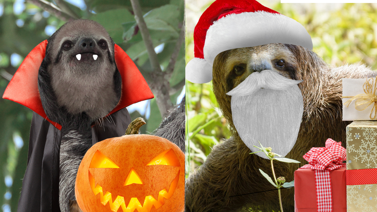 Halloween sloth VS santa sloth