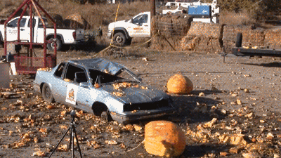Pumpkin destroying car