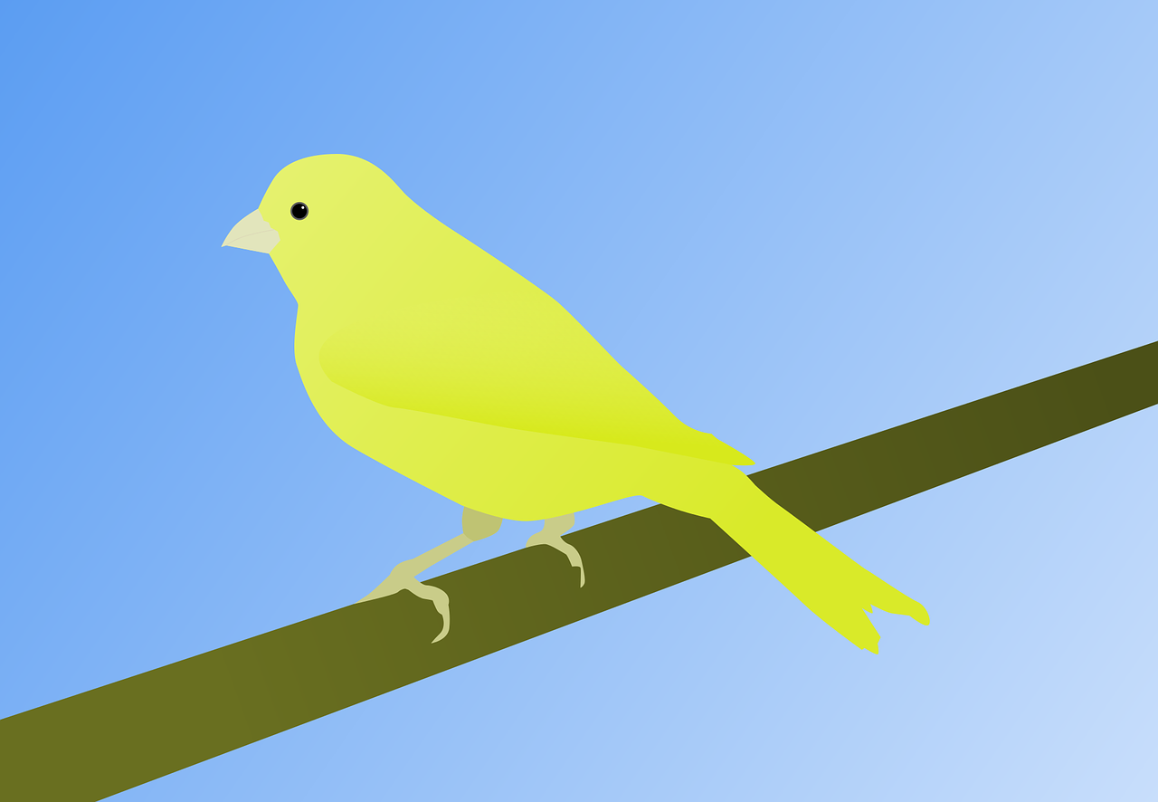An illustration of a canary