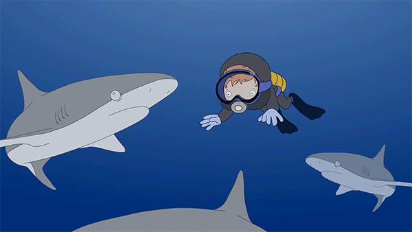 Ed Sheeran sharks